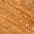 Load image into Gallery viewer, Larch Wood Cutting Board - Round Cheese