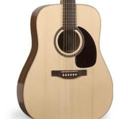 Simon and patrick woodland pro spruce hotsell