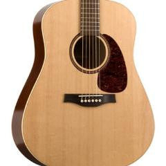 Seagull Coastline S6 Spruce QI Guitar